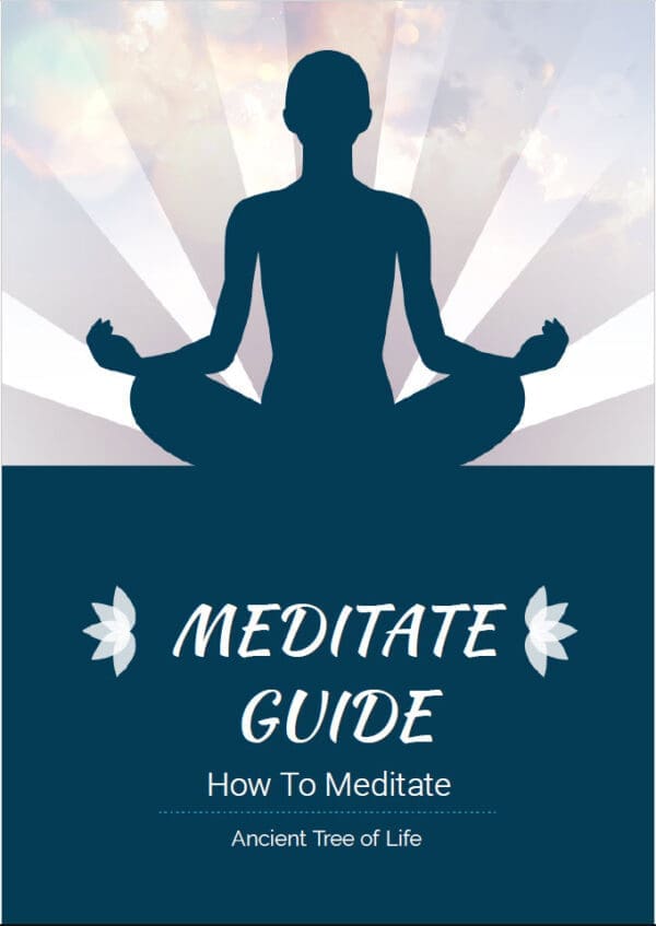 How To Mediate